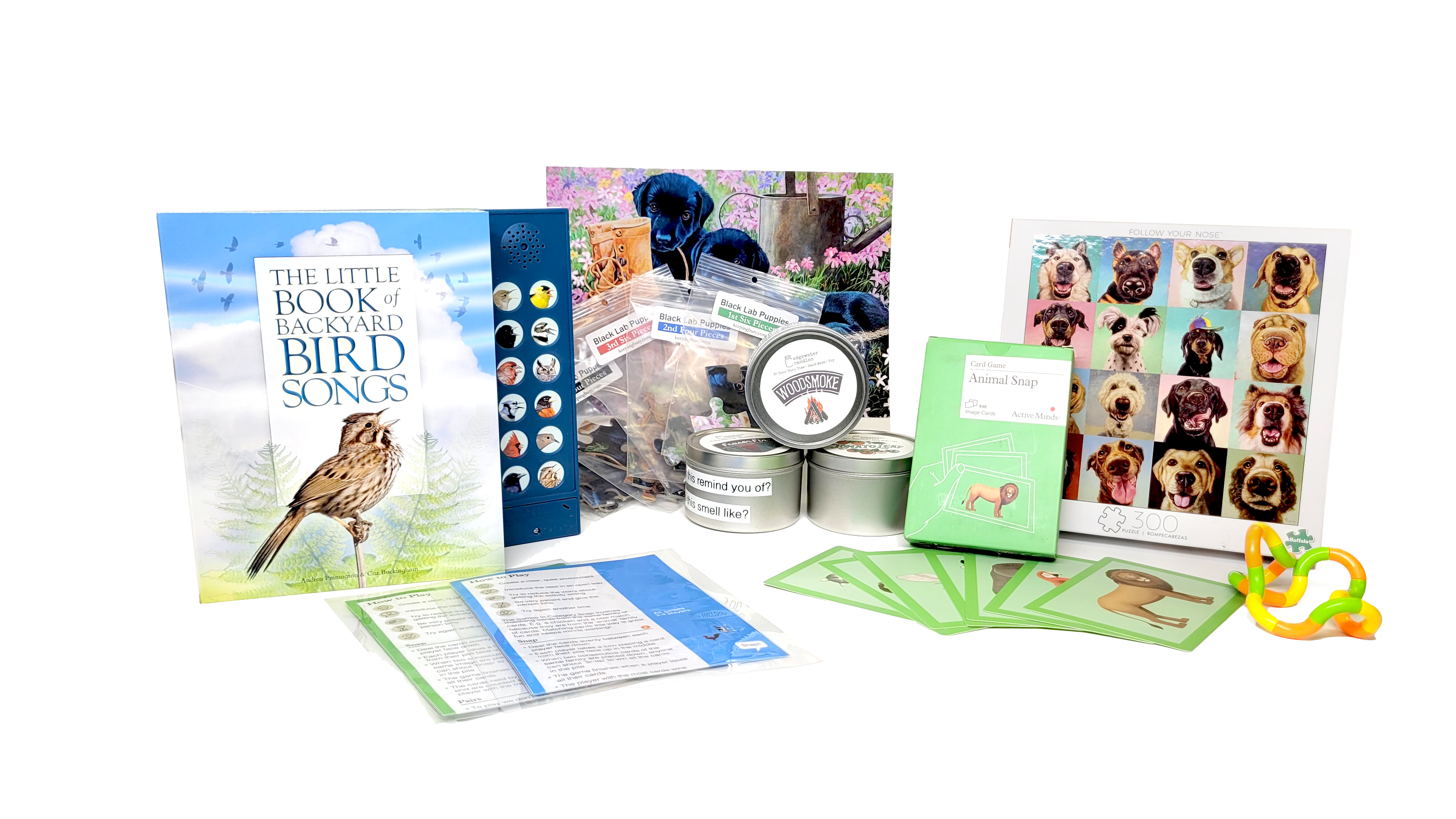 Arrangement of animal and outdoors-themed items found in the memory kit, such as a book that plays bird songs, a dog puzzle, a green animal card game, yellow and green fidget toys, and three candle tins.