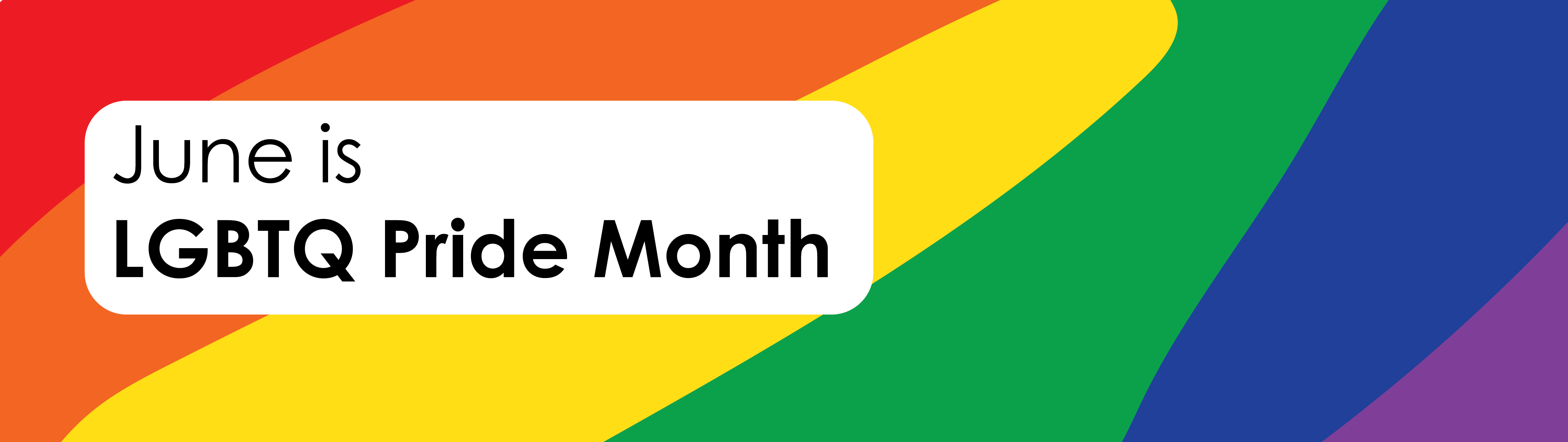 Pride Month Wilmette Public Library photo image