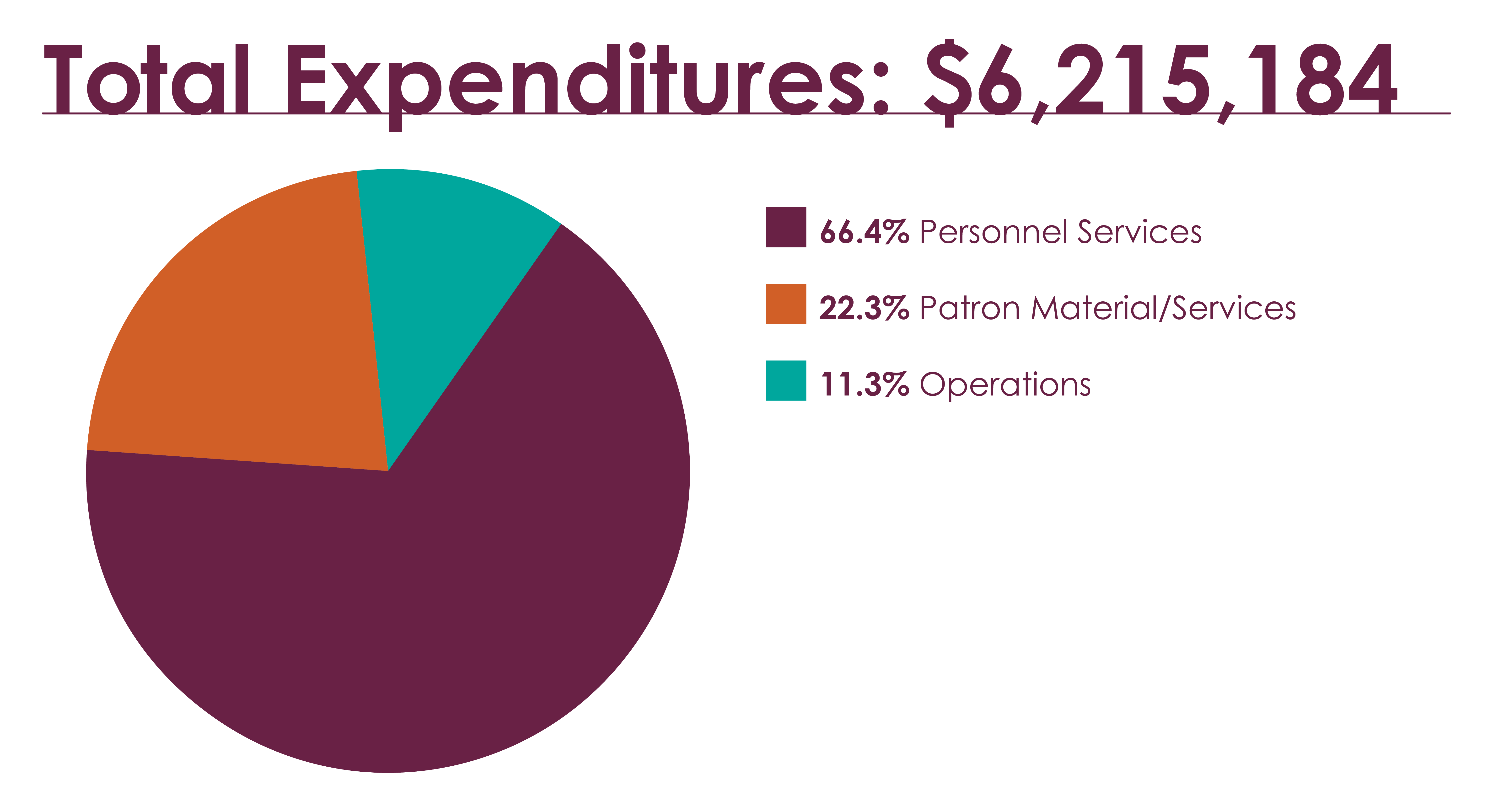 pie chart showing library expenditures 