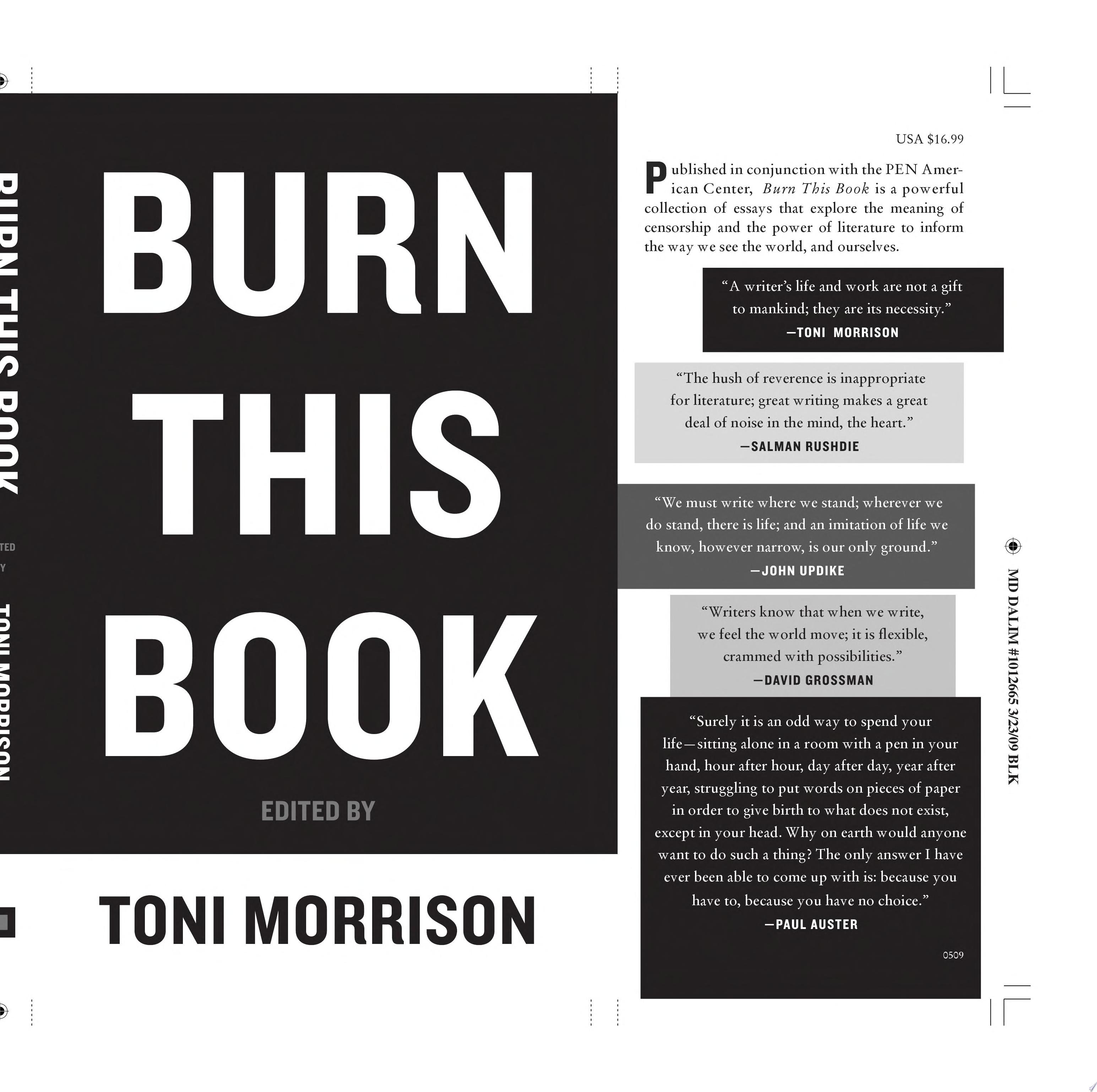Image for "Burn This Book"