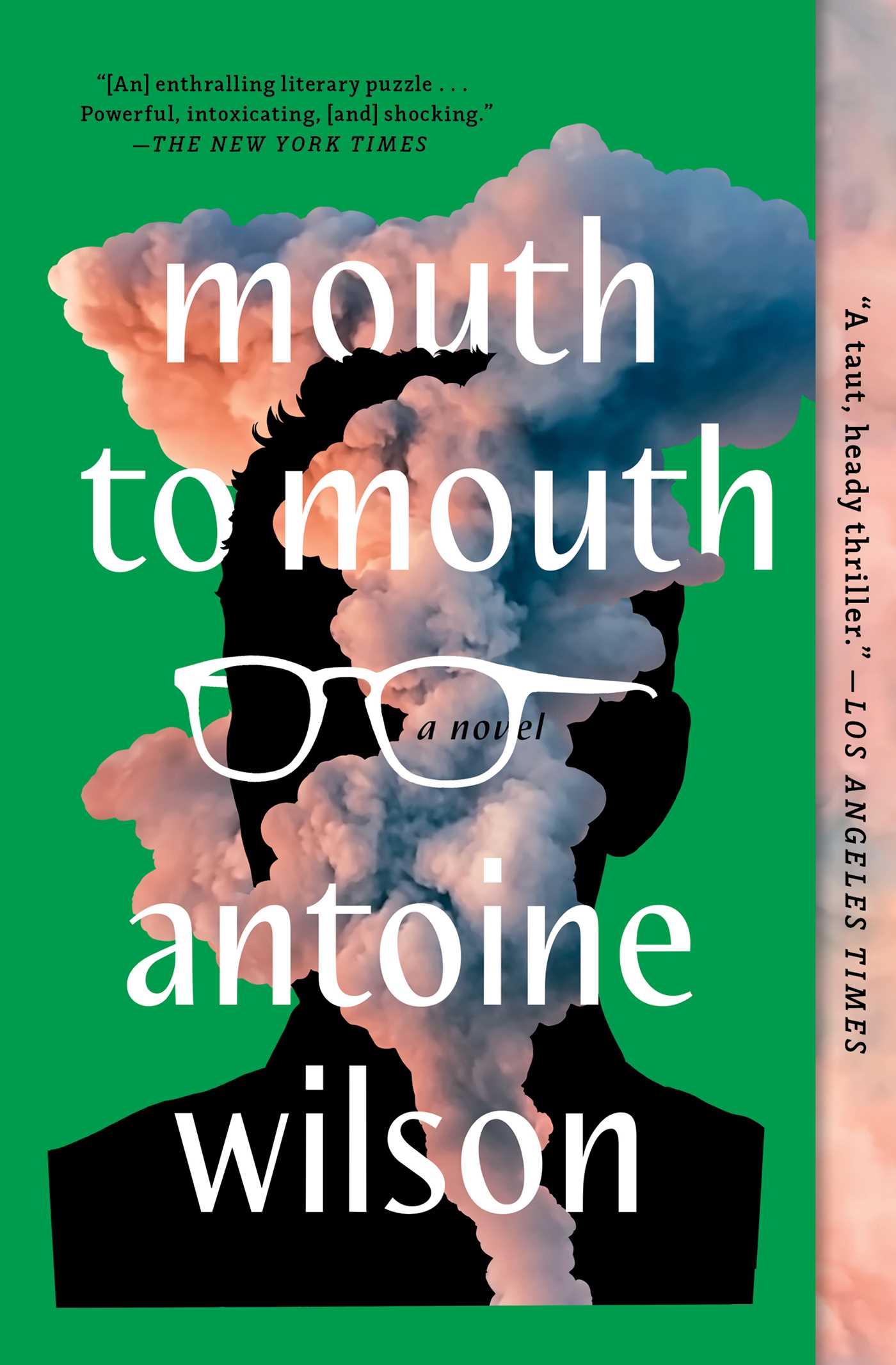 Image for "Mouth to Mouth"