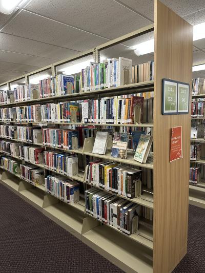 Shelving on the lower level of the library.