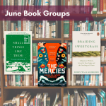 Covers of Small Things Like These, The Mercies, and Braiding Sweetgrass