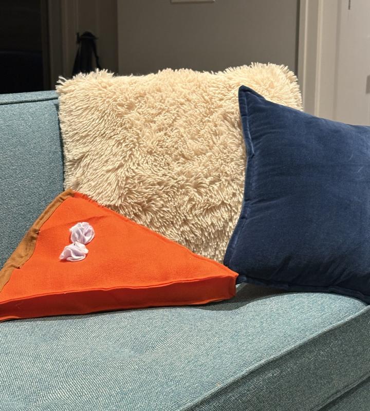 pumpkin pie pillow